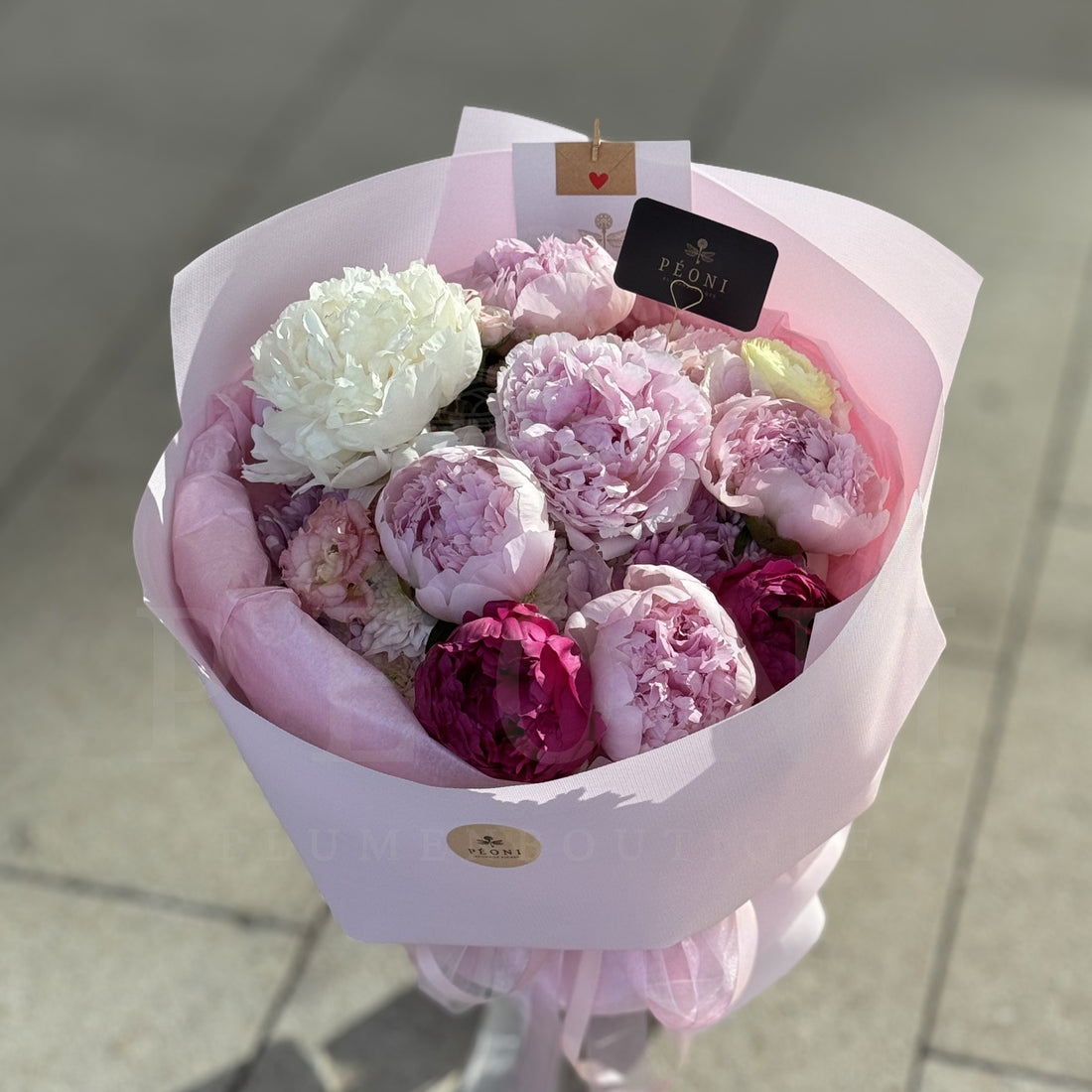Peony Daydream