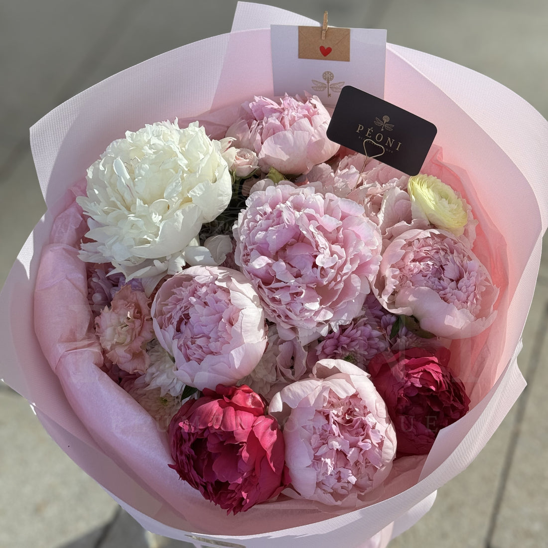Peony Daydream