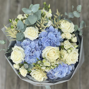 PÉONI Sky Blue