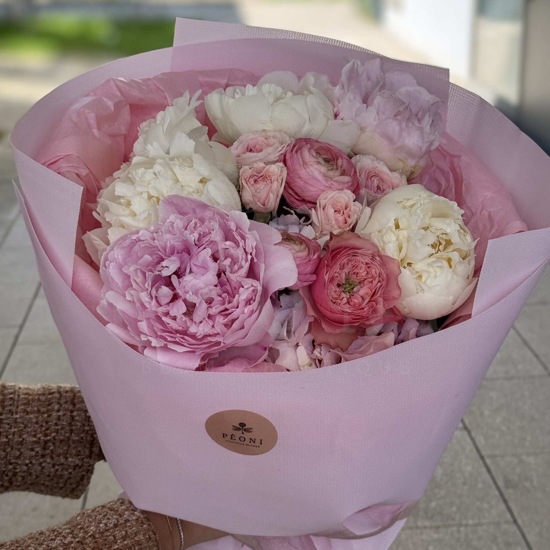 Peony Daydream