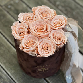 PÉONI Infinity Roses