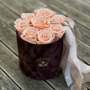 PÉONI Infinity Roses