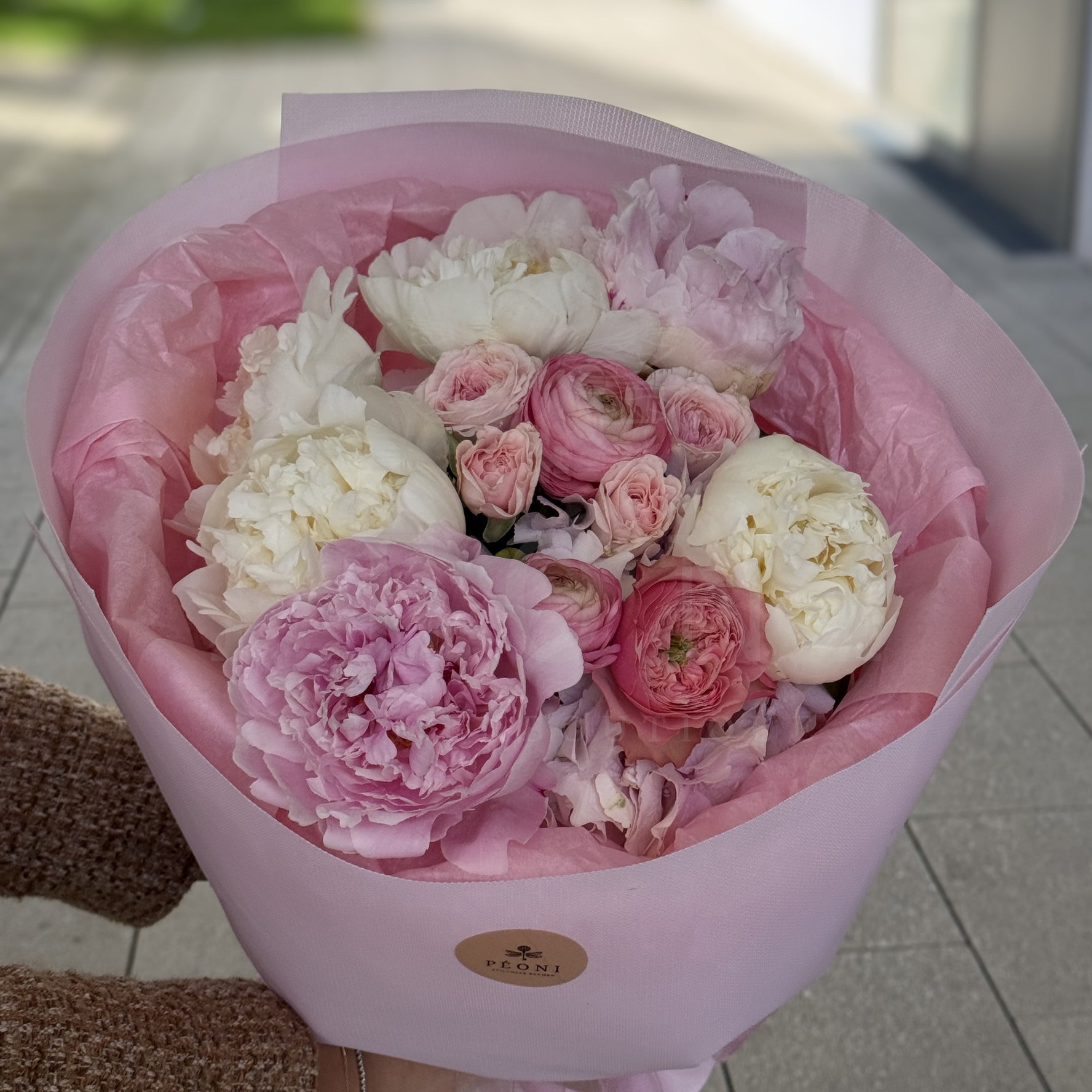 Peony Daydream
