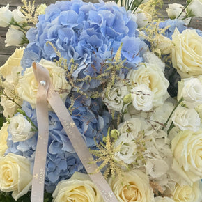 PÉONI Sky Blue - Premium Box