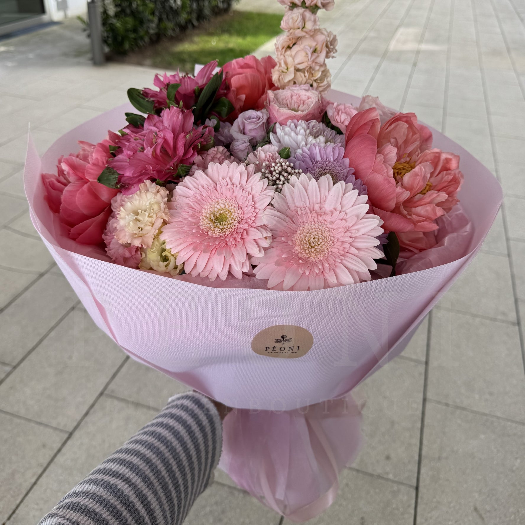 Fresh Bloom