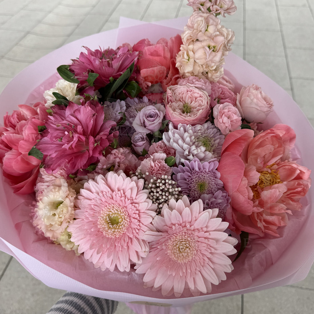 Fresh Bloom