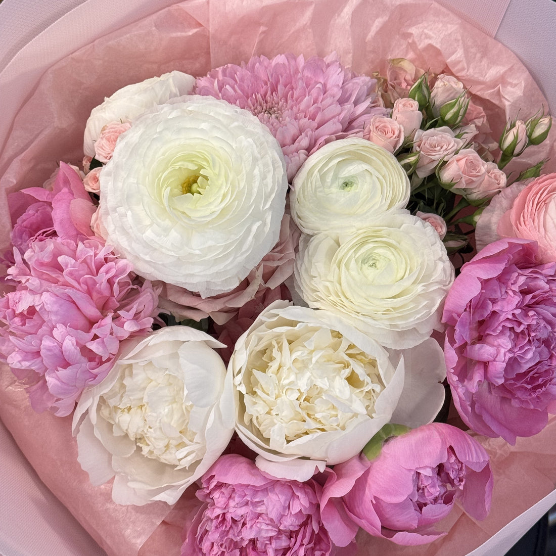 Peony Daydream