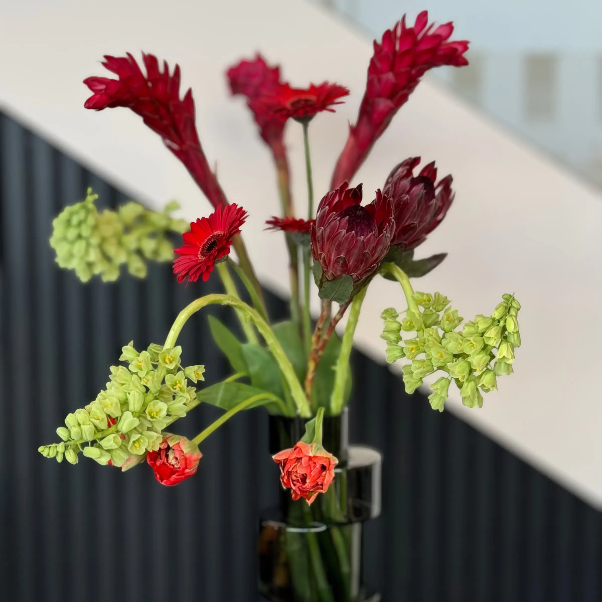 Moments in bloom